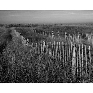 Fence and Grass 11 x 14 print
